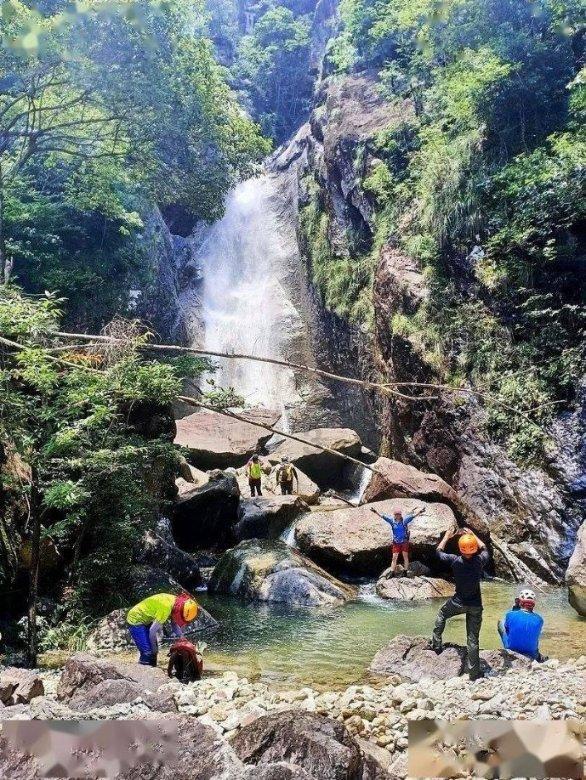 伊能静、秦昊双方半年都未互动，引发了外界的哪些揣测？游戏画面